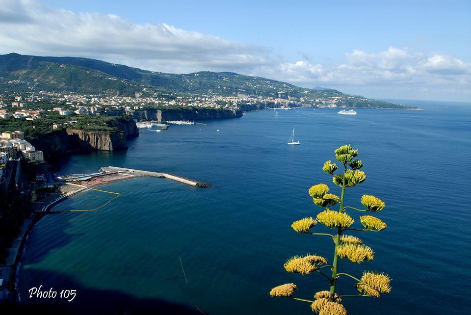 Sorrento Coast Relais Hotel Meta Eksteriør billede